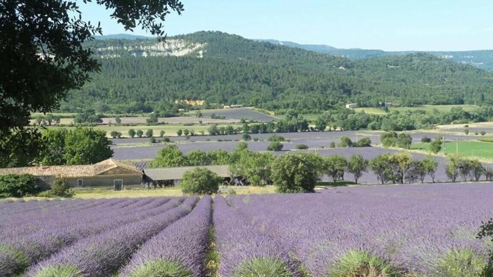Chambre Privee Independante Au Coeur Du Luberon Saint-Saturnin-lès-Apt Zewnętrze zdjęcie